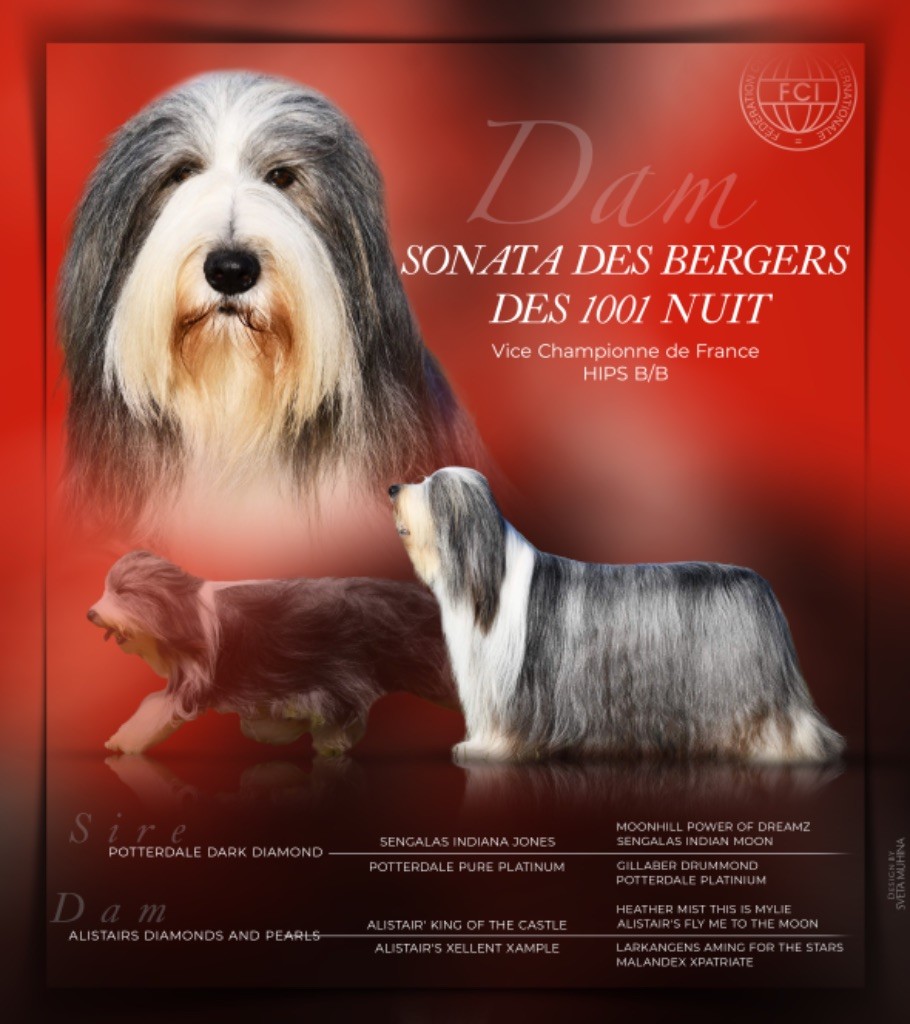 Sonata Des Bergers des Mille et Une Nuit