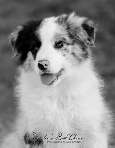 Take my breath away Memory Of Avane