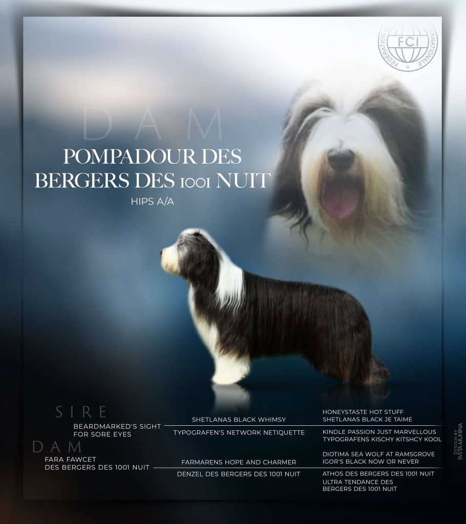 Pompadour Des Bergers des Mille et Une Nuit