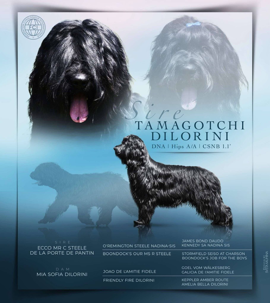 Tamagotchi dilorini