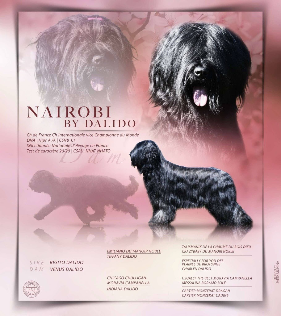 CH. Nairobi by dalido