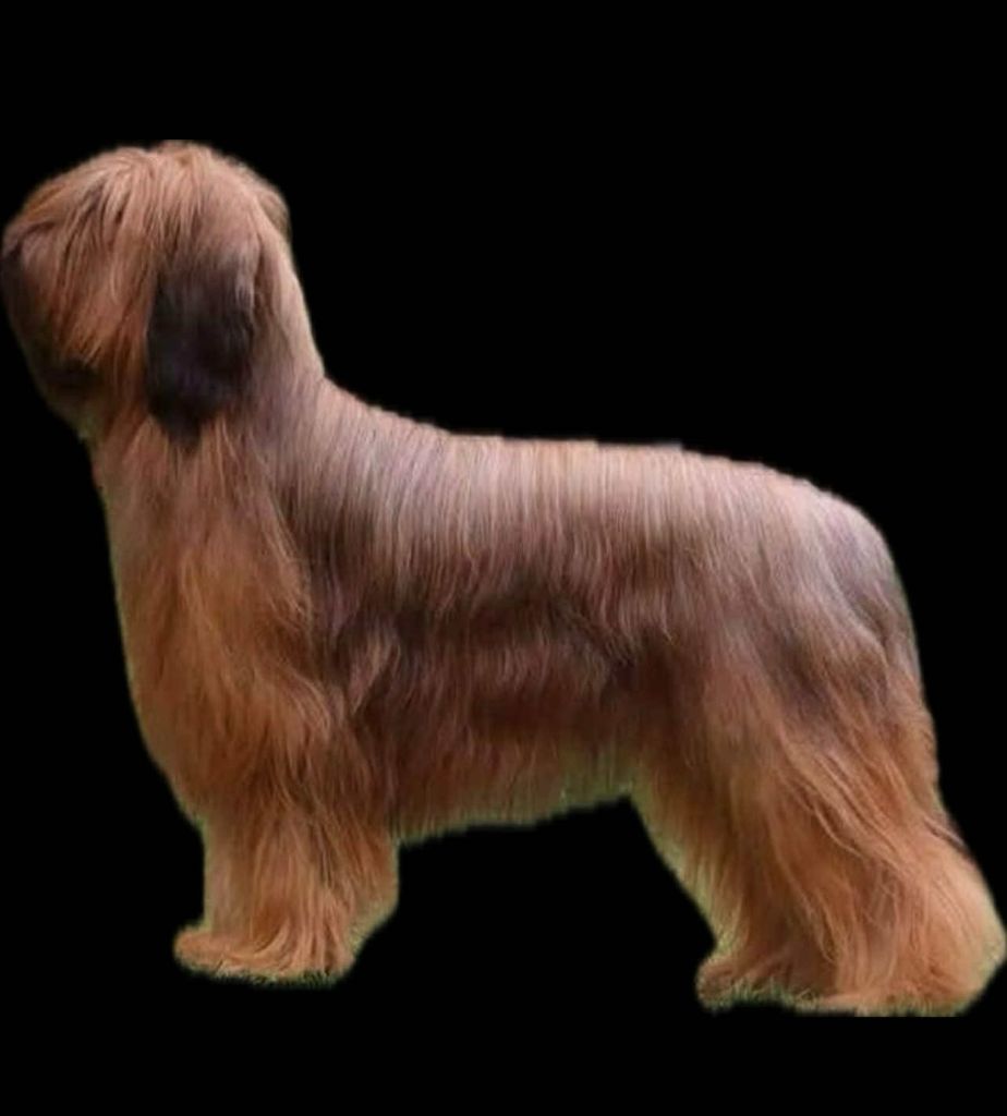 zhamanen Aurora borealis