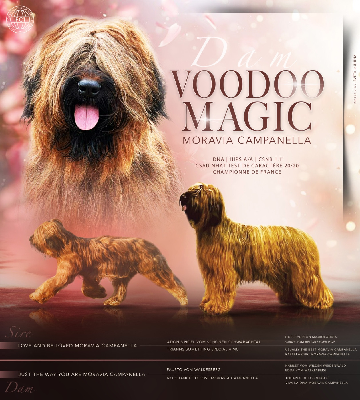 CH. voodoo magic moravia campanella