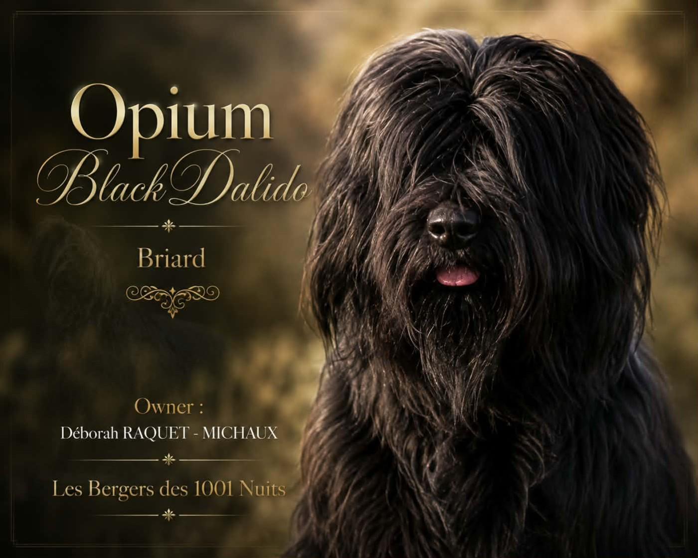 Opium Black  dalido